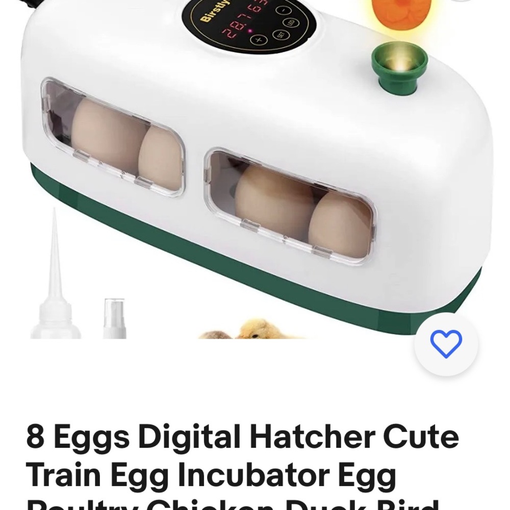 8 egg hatcher